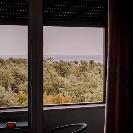 بيت ضيافة Vilele Violeta