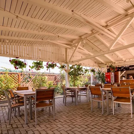 بيت ضيافة Vilele Violeta