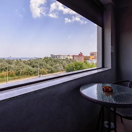 Vilele Violeta Guest house *