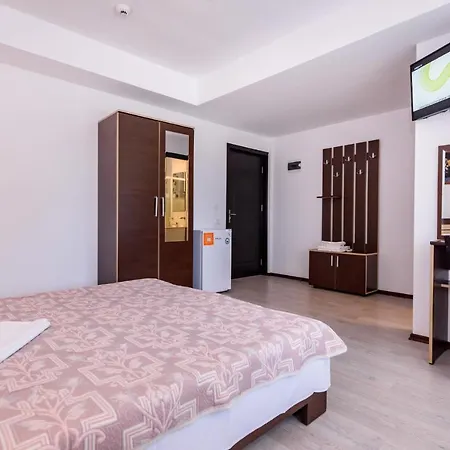 بيت ضيافة Vilele Violeta