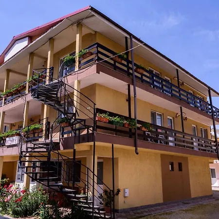 Guest house Vilele Violeta *