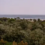 Vilele Violeta Guest house *
