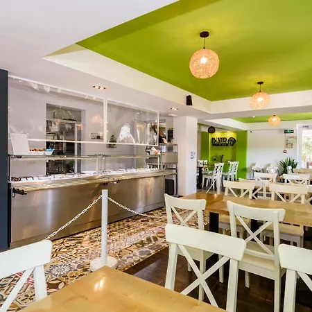 Pensiune Vilele Violeta