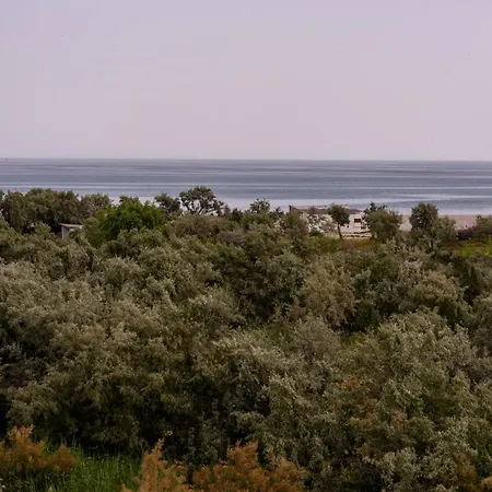 Vilele Violeta Pensiune *